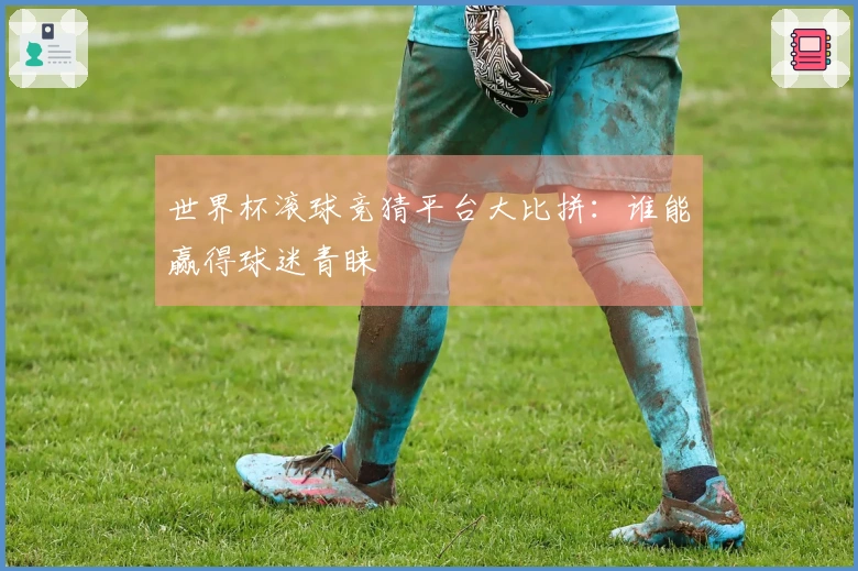 世界杯滚球竞猜平台大比拼：谁能赢得球迷青睐