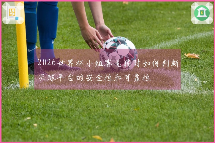 2026世界杯小组赛竞猜时如何判断买球平台的安全性和可靠性