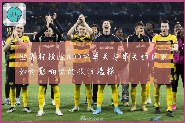 世界杯投注app中单关与串关的区别如何影响你的投注选择